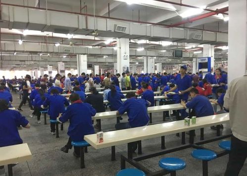 月薪八千背后的深圳奋斗观 事业为上，婚恋从宽