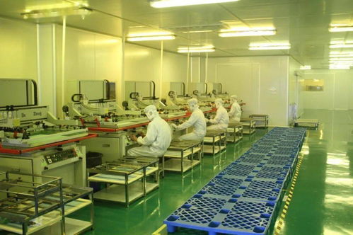 中共湛江市委十一届十次全会工作报告要点 深化人力资源服务，规范职业中介活动，赋能高质量发展